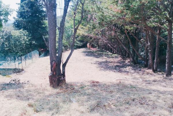 Maison 4 pièces - 83 m² Bien prestige