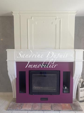 Saintes (17100) Ensemble immobilier : grande maison et dépendances