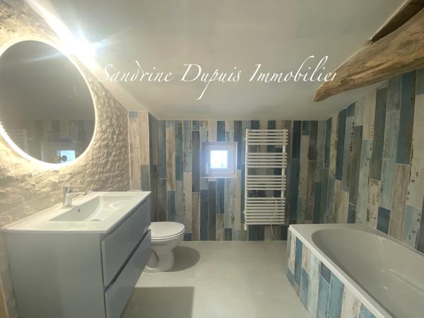 Saintes (17100) Ensemble immobilier : grande maison et dépendances