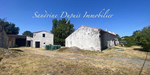 Saintes (17100) Ensemble immobilier : grande maison et dépendances