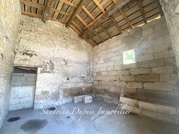 Saintes (17100) Ensemble immobilier : grande maison et dépendances