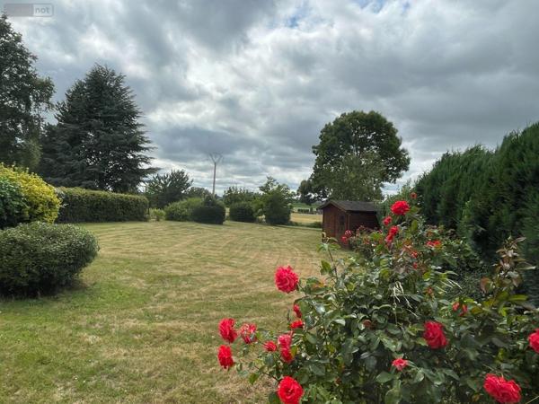 Maison individuelle à vendre à Bailleul dans le Nord (59270), ref : F30409