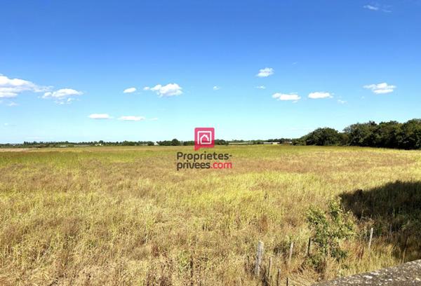 Domaine agricole à vendre de 21 hectares avec maison d'habitation de 120m² et grands hangars Marsillargues