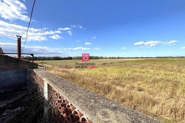 Domaine agricole à vendre de 21 hectares avec maison d'habitation de 120m² et grands hangars Marsillargues