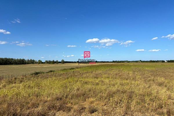 Domaine agricole à vendre de 21 hectares avec maison d'habitation de 120m² et grands hangars Marsillargues