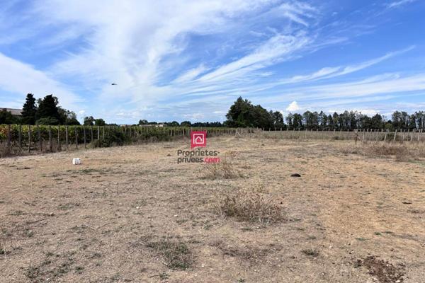 Domaine agricole à vendre de 21 hectares avec maison d'habitation de 120m² et grands hangars Marsillargues