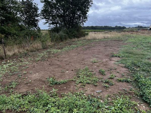 Terrain à vendre |  Tesson |  718 m²