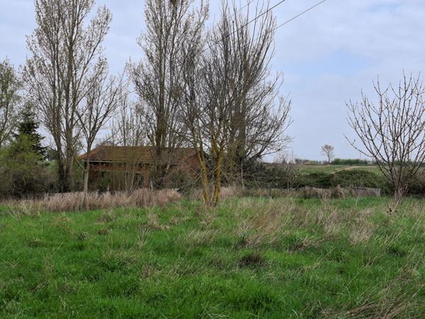 Maison Gimont 10 pièce(s) 209 m2