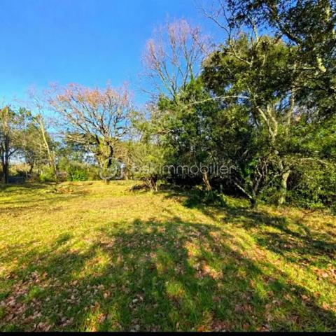 🌿 TERRAIN À VENDRE – MOLIÈRES-SUR-CÈZE – QUARTIER GAMMAL
49 000 € – 1 041 m²
À vendre, sur la commune de Molières-sur-Cèze, secteur Gammal, beau terrain plat d’une superficie de 1 041 m², situé dans un environnement campagne et au calme.
Le terrain est non viabilisé, avec les réseaux en bordure.
Il peut permettre, sous réserve des règles d’urbanisme et de la faisabilité du projet, d’imaginer différents projets :
habitation
résidence secondaire
petit chalet ou logement de vacances
logement indépendant
projet personnel ou locatif
📍 Environ 26 km d’Alès.
Un terrain intéressant pour ceux qui souhaitent profiter d’un environnement verdoyant et disposer d’une belle surface pour réaliser leur projet.
💰 Prix : 49 000 €
Rocher Immobilier – Mandataire BSK Immobilier
📞 07 80 55 96 54
📧 e.rocher@bskimmobilier.com
SIRET : 930 360 698 00011
📸 Visuels non contractuels : certaines images peuvent avoir été retouchées ou générées par IA à titre d’illustration.