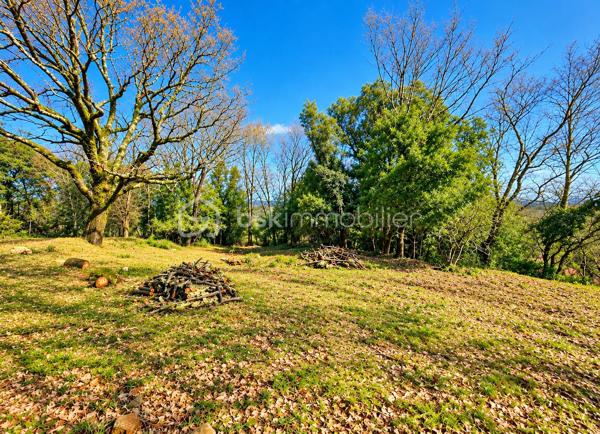 🌿 TERRAIN À VENDRE – MOLIÈRES-SUR-CÈZE – QUARTIER GAMMAL
49 000 € – 1 041 m²
À vendre, sur la commune de Molières-sur-Cèze, secteur Gammal, beau terrain plat d’une superficie de 1 041 m², situé dans un environnement campagne et au calme.
Le terrain est non viabilisé, avec les réseaux en bordure.
Il peut permettre, sous réserve des règles d’urbanisme et de la faisabilité du projet, d’imaginer différents projets :
habitation
résidence secondaire
petit chalet ou logement de vacances
logement indépendant
projet personnel ou locatif
📍 Environ 26 km d’Alès.
Un terrain intéressant pour ceux qui souhaitent profiter d’un environnement verdoyant et disposer d’une belle surface pour réaliser leur projet.
💰 Prix : 49 000 €
Rocher Immobilier – Mandataire BSK Immobilier
📞 07 80 55 96 54
📧 e.rocher@bskimmobilier.com
SIRET : 930 360 698 00011
📸 Visuels non contractuels : certaines images peuvent avoir été retouchées ou générées par IA à titre d’illustration.