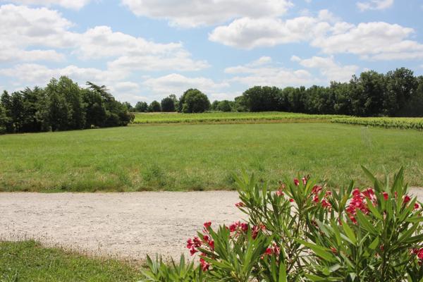 Charmant Domaine près d'Albi avec Maison de Maître, Dépendance Rénovée et Projets de Rénovation
