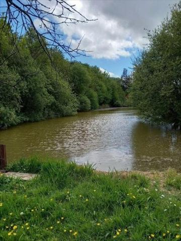 Terrain de loisirs - Bois - Etang à vendre à La Pellerine en Mayenne (53220), ref : 53077-1080800