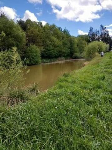 Terrain de loisirs - Bois - Etang à vendre à La Pellerine en Mayenne (53220), ref : 53077-1080800