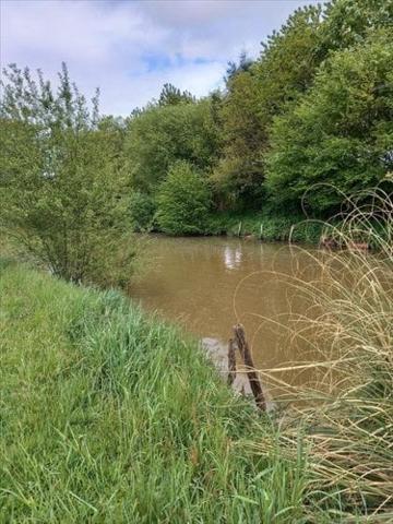 Terrain de loisirs - Bois - Etang à vendre à La Pellerine en Mayenne (53220), ref : 53077-1080800