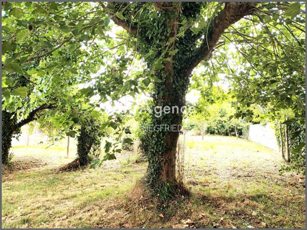 Maison à BEAUVOIR-SUR-MER, 85230 - 5 pièces 90m²