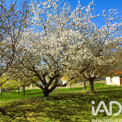 Terrain à vendre 8 924 m² Saint-Rome-de-Tarn