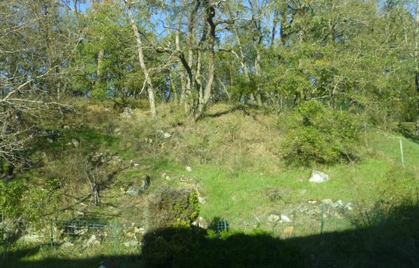 Maison avec sous-sol total et terrain arboré.
