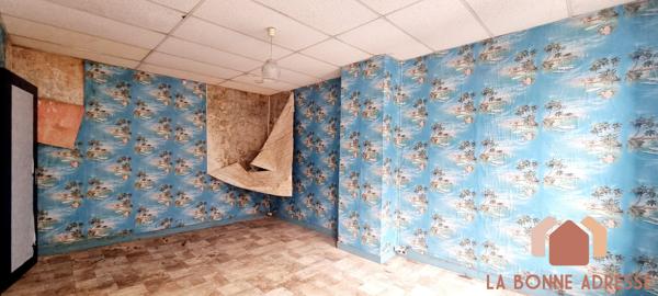 Lot de 2 maisons!