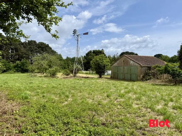 Terrain 5321m²