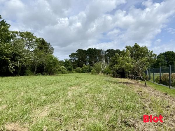Terrain 5321m²