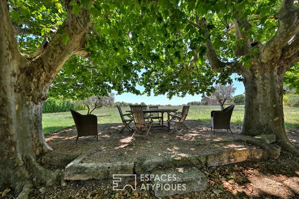 Maison familiale authentique avec piscine en Petite Camargue