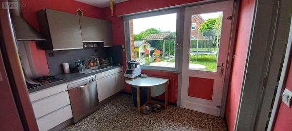 Maison à louer à Steenvoorde dans le Nord (59114), ref : 12980/1476