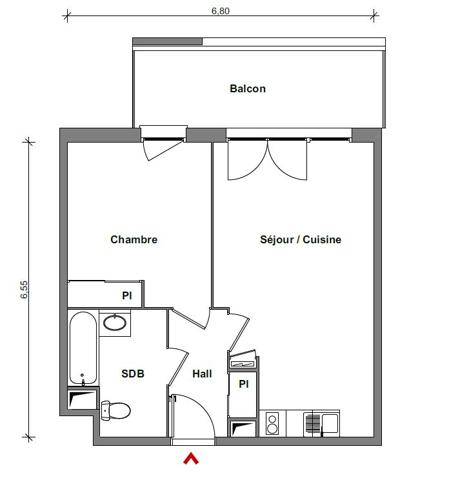 Appartement TOULOUSE 42.56 m²