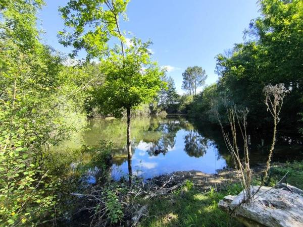 Maison à vendre 192 240 € Montguyon 6 p 183 m² DPE D