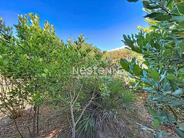 Port Camargue quai d'Honneur Spacieux Appartement de type 2 avec terrasse et jardinet