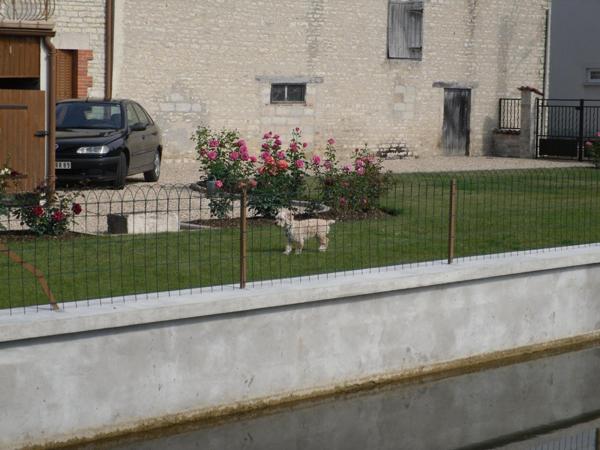 Maison individuelle à vendre à Laferté-sur-Aube en Haute-Marne (52120), ref : 1000866