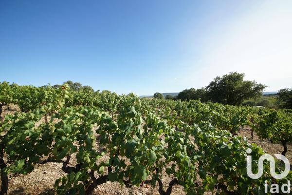 Terrain à vendre 7 360 m² Saint-Maurice-sur-Eygues