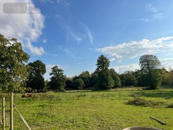 Maison à vendre à Betton en Ille-et-Vilaine (35830), ref : 008/3033   
CAMPAGNE