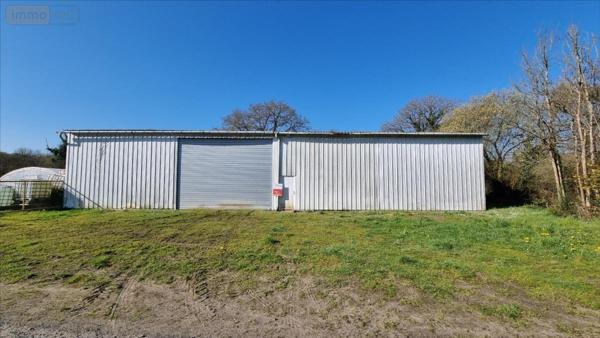 Garage - Parking à vendre à Callac dans les Côtes-d'Armor (22160), ref : 29066-1093596