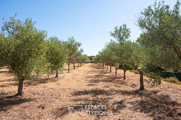 Domaine avec vignes oliveraie et annexes
