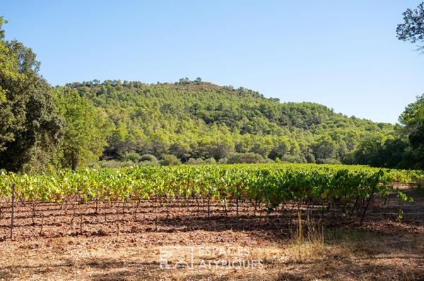 Domaine avec vignes oliveraie et annexes