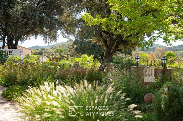 Domaine avec vignes oliveraie et annexes