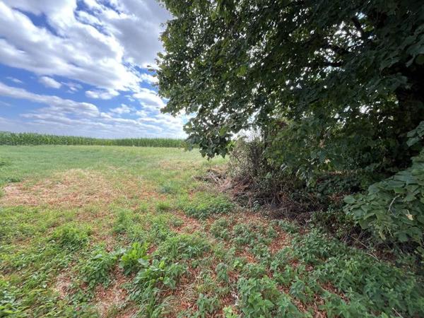 Maison à vendre |  Le Petit-Pressigny |  2 pièces | 52 m²