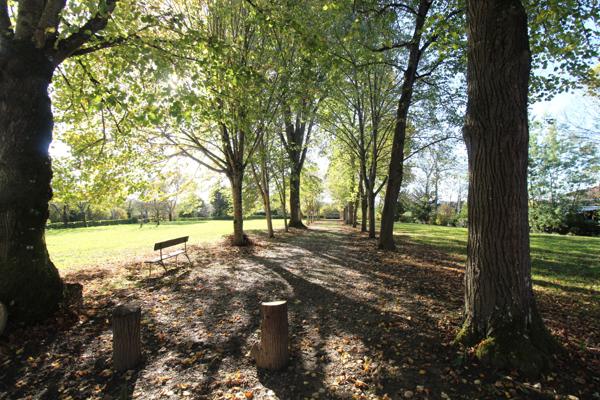 Maubourguet (65700) Maison de maître
