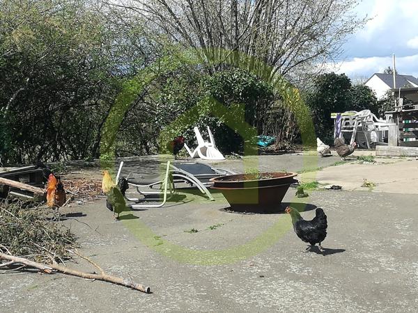 Bâtiment à LA GUIERCHE (72380)