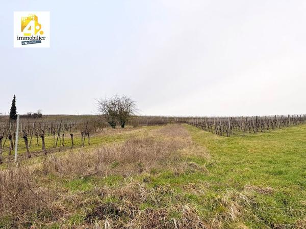 Terrain Balbronn 899 m2