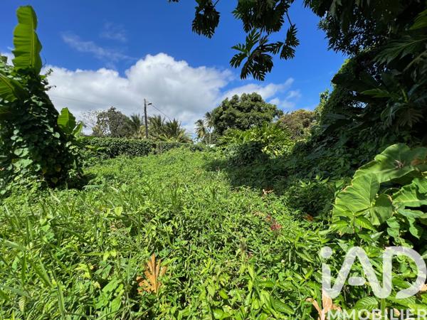 Terrain à vendre 1 015 m² Capesterre-Belle-Eau