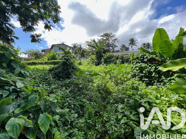 Terrain à vendre 1 015 m² Capesterre-Belle-Eau