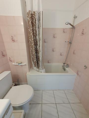 Appartement · Location Grenoble (38000) 1 pièce · 39m²