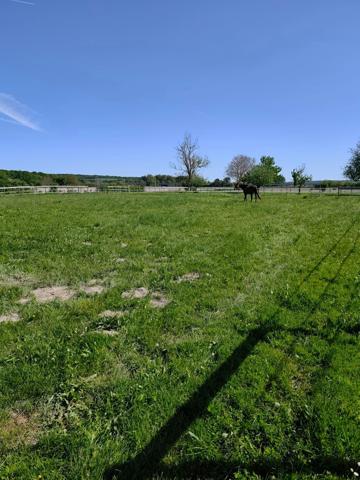 Maison à vendre 5 pièces LA COURONNE (16)