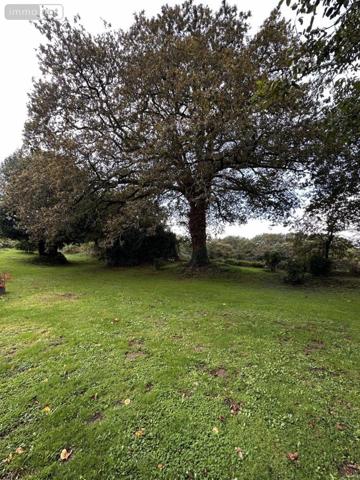 Maison à vendre à Theix-Noyalo dans le Morbihan (56450), ref : 56003-1345