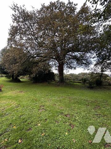 A VENDRE (56) PROPRIETE AVEC LONGERE RENOVEE AVEC GOUT ET DEPENDANCES