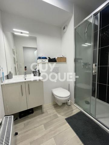 Appartement Toulouse 1 pièce(s)