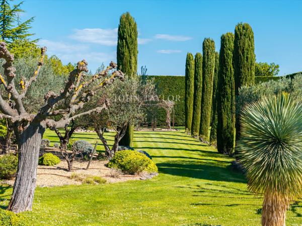 Vente Mas Provençal Luberon : Propriété de Prestige