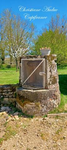 Brionnais, maison 200 m², avec piscine sur 2.5 Ha de terrain