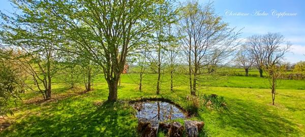 Brionnais, maison 200 m², avec piscine sur 2.5 Ha de terrain